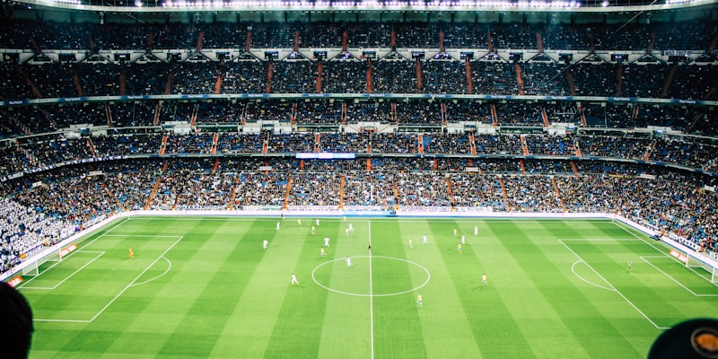 世界杯足球赛球迷在体育场欢呼助威